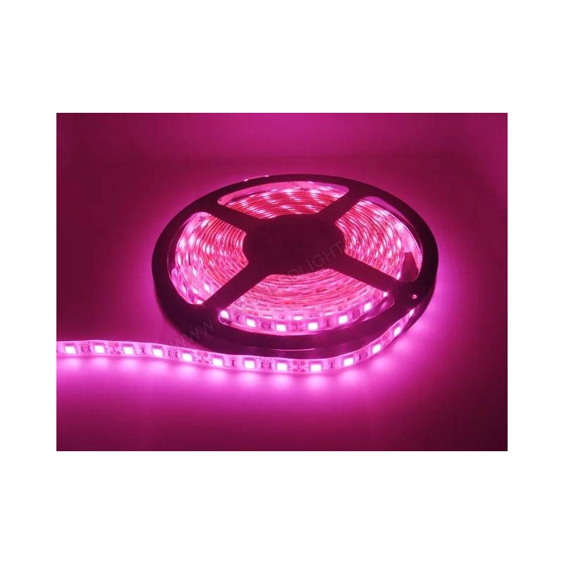 BANDA LED 12V 5050 PINK 14.4W/M IP20